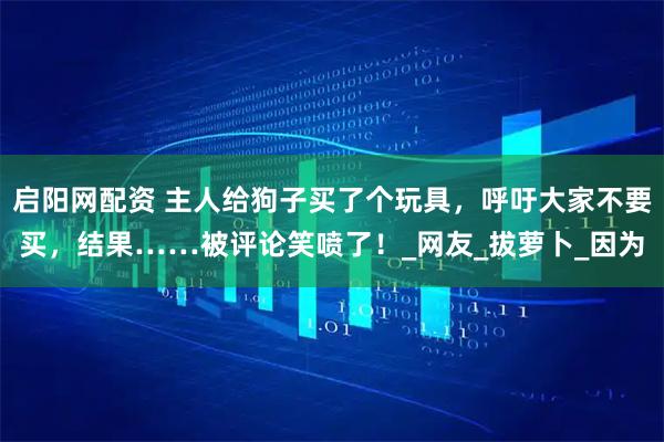 启阳网配资 主人给狗子买了个玩具,呼吁大家不要买,结果……被评论笑喷了!_网友_拔萝卜_因为