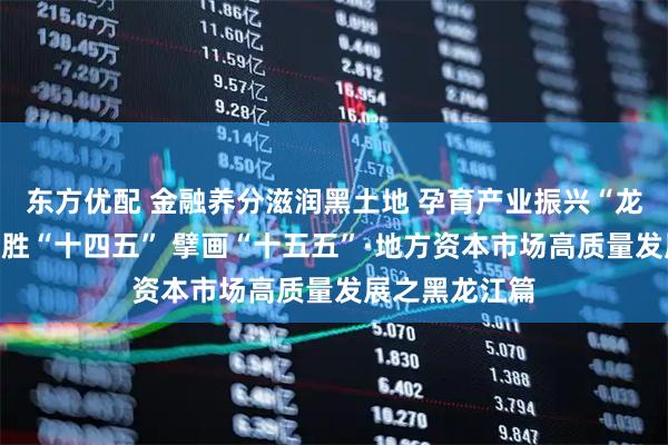 东方优配 金融养分滋润黑土地 孕育产业振兴“龙江之花”丨决胜“十四五” 擘画“十五五”·地方资本市场高质量发展之黑龙江篇